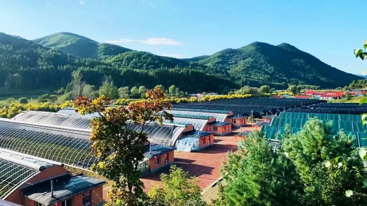 參藥寶地 繁榮東昌 | 吉林通化東昌區招商引資推介 參藥寶地 繁榮東昌 | 吉林通化東昌區招商引資推介