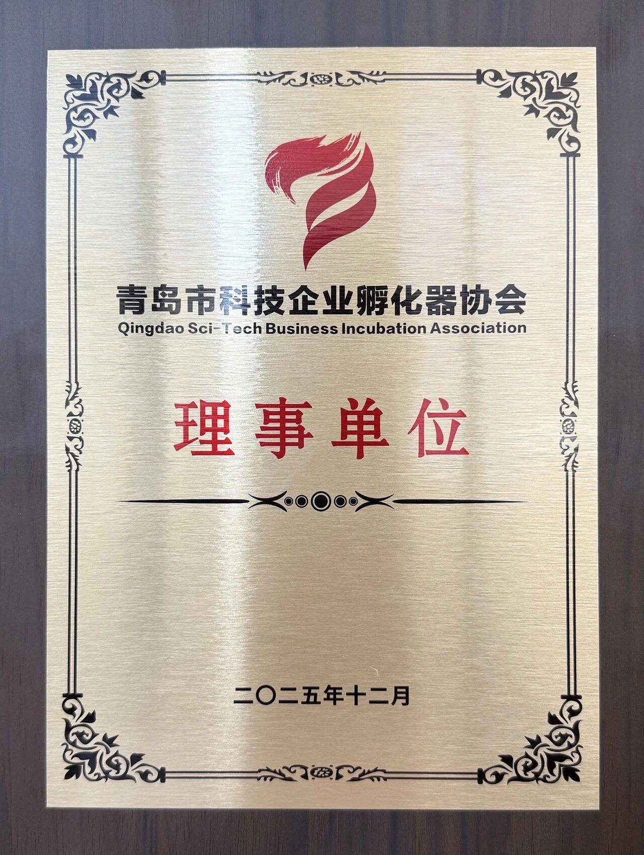 1766106015805168.jpg 2512182.jpg