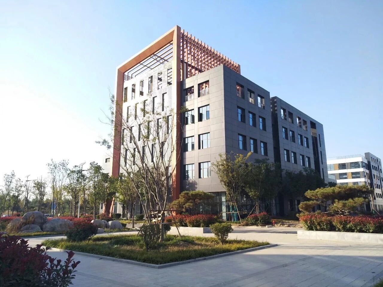 1766135909137018.jpg 2512035.jpg