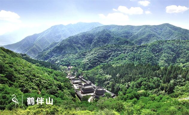 1769562713197111.jpg 2601273.jpg