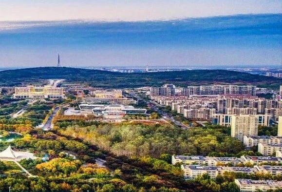 1769562732132395.jpg 2601275.jpg