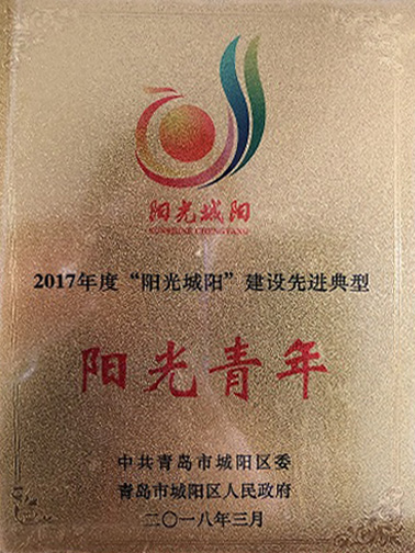 2017城陽陽光青年